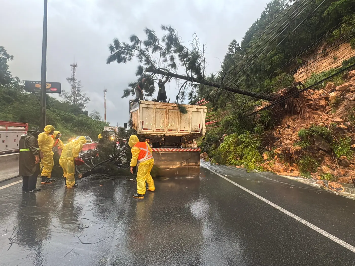 Deslizamento em florianópolis após fortes chuvas Foto Secom Prefeitura de Florianópolis