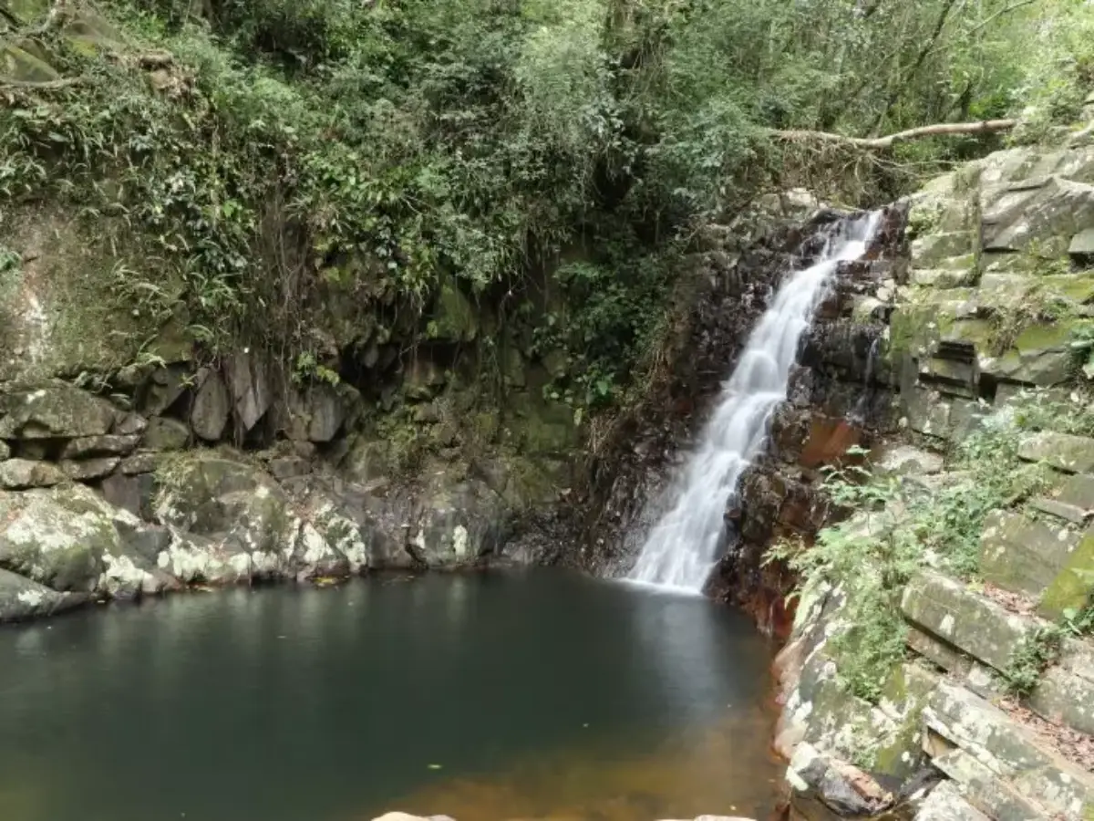 Foto: Prefeitura Municipal de Florianópolis 