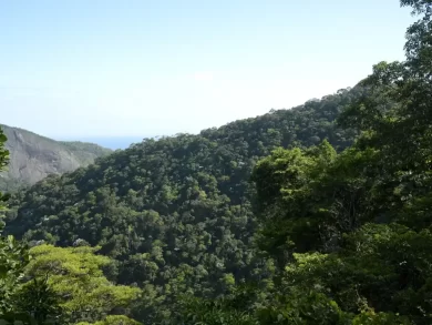 Plano Clima a moldar o futuro climático do Brasil