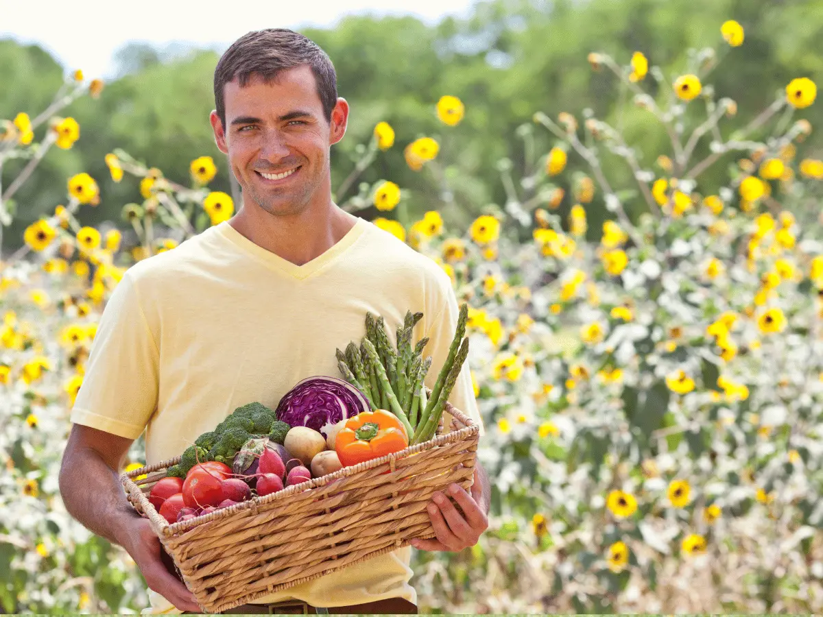 ODS 2 - Fome Zero e Agricultura Sustentável: um caminho para um mundo mais justo e saudável