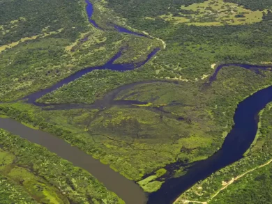 Preservação da Mata Atlântica