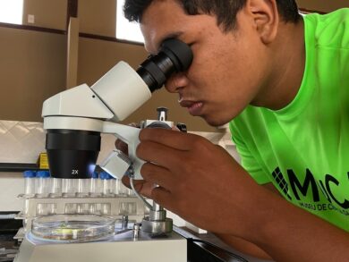 Museu de Ciência da Amazônia impulsiona economia verde