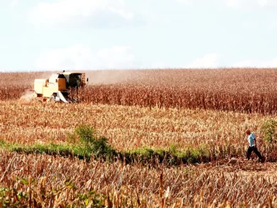 Crescimento da economia catarinense é destaque nacional