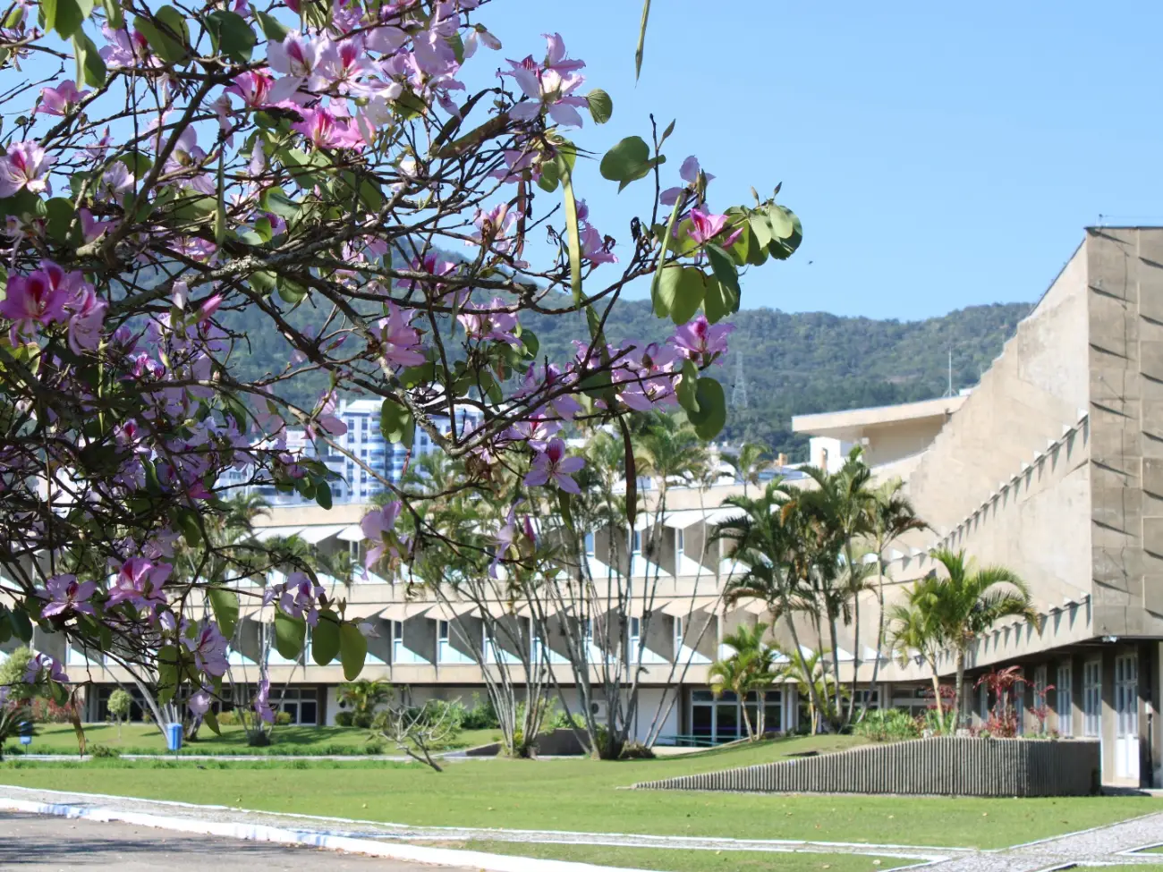 Udesc reafirma excelência global ao ser destaque em quatro áreas do conhecimento