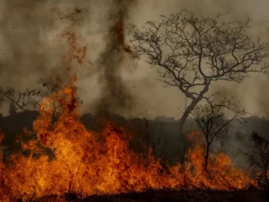 O impacto da crise climática vai além do clima e ameaça nosso futuro