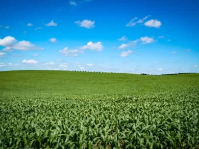 La Niña de curta duração: impactos previstos em Santa Catarina entre fevereiro e abril de 2025