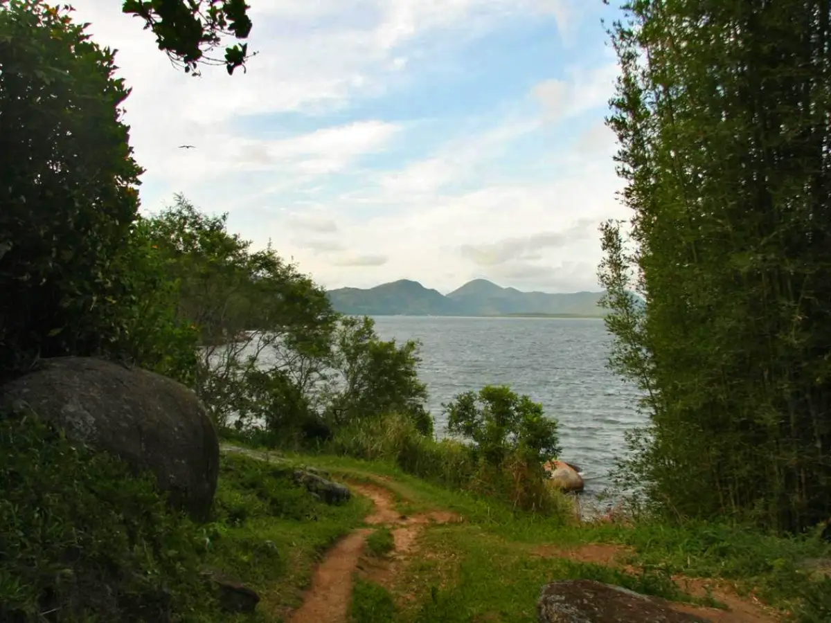 Trilhas em Florianópolis - Trilhas de Florianópolis - Trilha da Costa da Lagoa