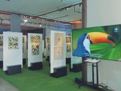 Exposição O Legado Suíço Brasileiro na Amazônia está em Nova Friburgo–RJ