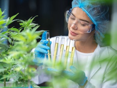 Mercado de Cannabis medicinal deve atingir R$ 1 bi em 2025