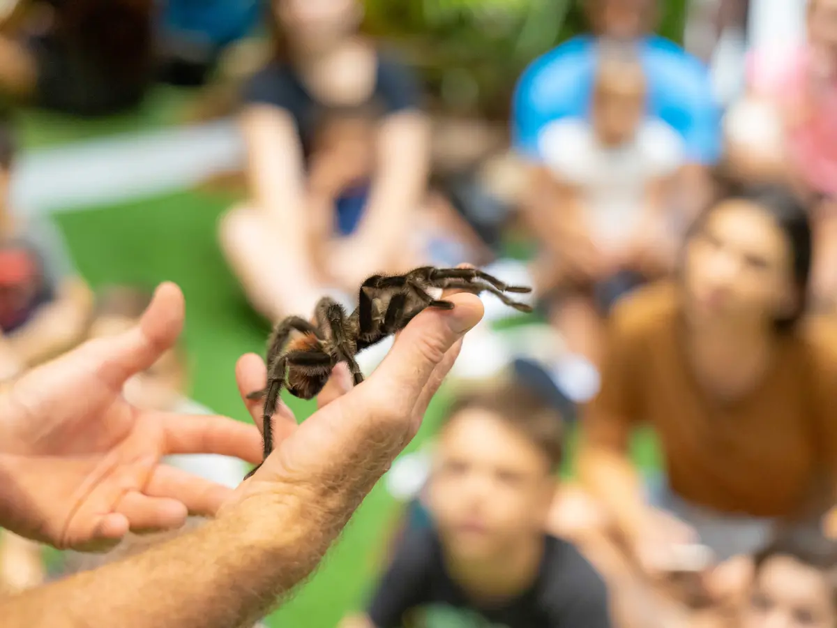 Expedição Aventura leva conscientização ambiental e diversão ao Continente Shopping