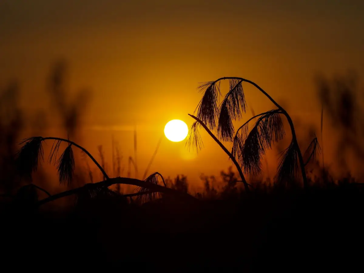 Previsão do tempo em SC indica calor intenso e necessidade de cuidados extras