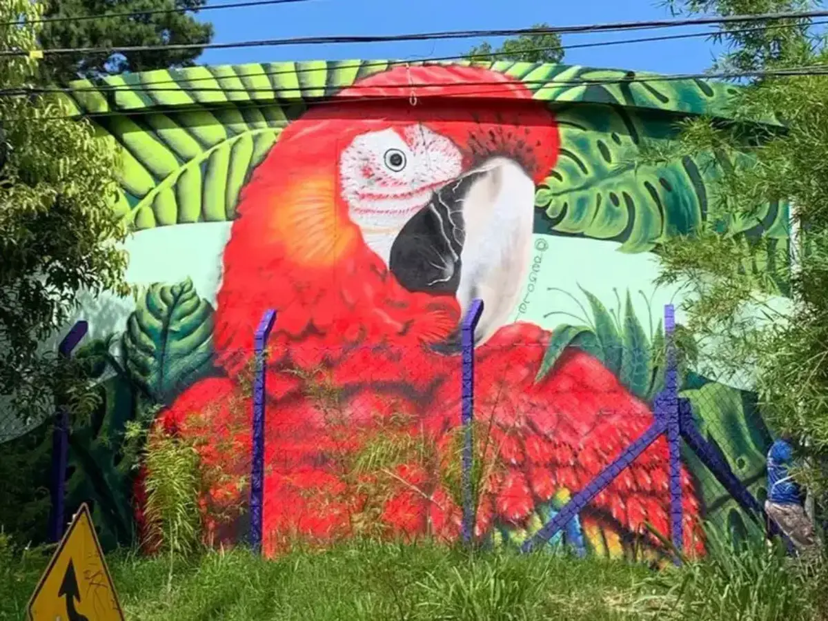 Reservatório da CASAN ganha grafite inédito em Florianópolis