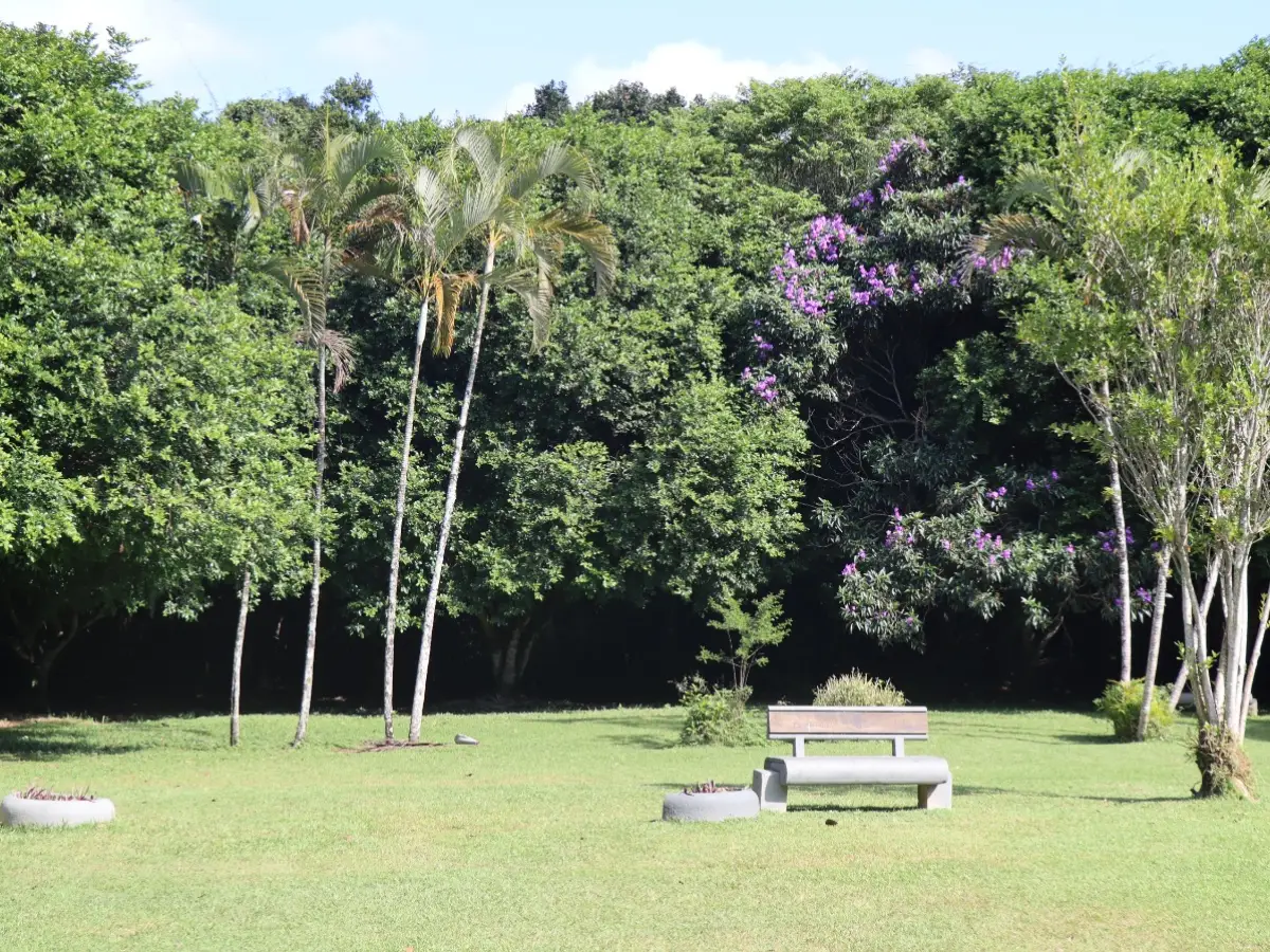 Parque Raimundo Malta, em Balneário Camboriú, tem horário de visitação ampliado