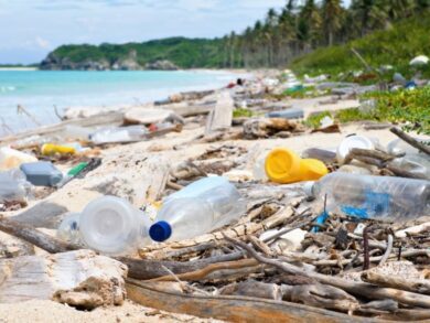 Turista Consciente: movimento quer reduzir lixo nas praias