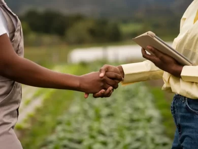 Com o Desenrola Rural, agricultores de SC começam a quitar dívidas com grandes descontos