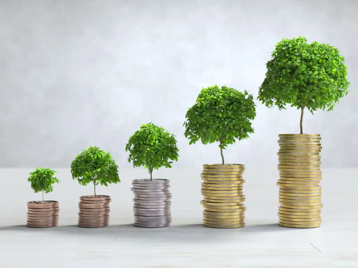 BRASIL abre mais de 1,4 milhão de pequenos negócios no 1º trimestre de 2025 - Governo propõe salário mínimo de R$ 1.630 em 2026