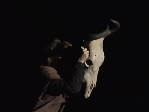 Filme “Oroboro” chega a Florianópolis, mostrando a força transformadora da arte na adolescência