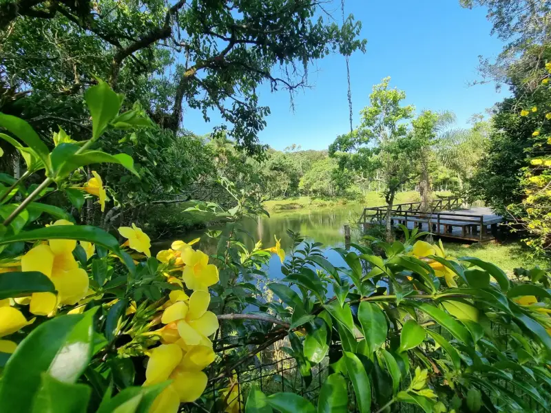 Semana do Meio Ambiente terá programação especial em São José