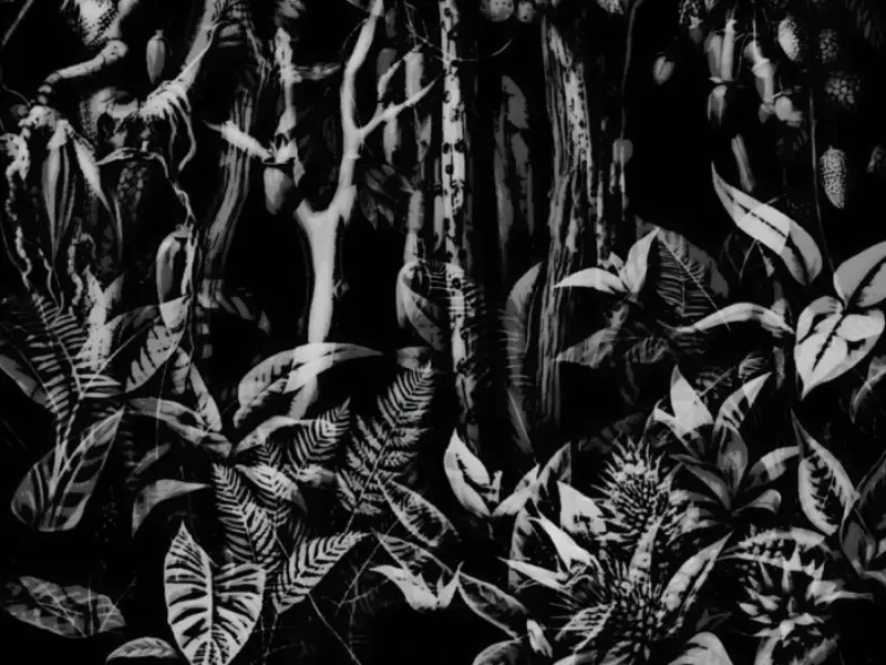 “Noites Verticais” apresenta mundos onde tudo se desfaz