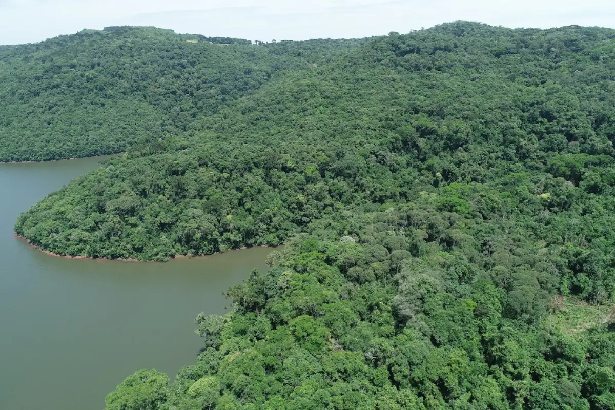 De acordo com o Atlas dos Remanescentes Florestais da Mata Atlântica, coordenado pela Fundação SOS Mata Atlântica e pelo Instituto Nacional de Pesquisas Espaciais (INPE), o desmatamento do bioma em Santa Catarina apresentou uma queda de 12%. O levantamento considera o período de julho de 2023 a junho de 2024, em comparação com o ano anterior. A redução é ainda mais relevante, tendo em vista que, no período de julho de 2022 a junho de 2023, o Estado já havia registrado uma diminuição de 86%. Outro indicativo positivo é que nenhum município catarinense figurou na lista dos 20 municípios com maior desmatamento em área de mata, o que demonstra uma dispersão das ocorrências e menor pressão localizada. “Santa Catarina tem mostrado que é possível crescer com responsabilidade ambiental. A nova redução no desmatamento da Mata Atlântica é fruto de um trabalho sério, que combina o uso de tecnologia, fiscalização eficiente e políticas públicas bem direcionadas. O meio ambiente é mais uma área em que os catarinenses demonstram seu compromisso e protagonismo, assim como já é com o nosso agronegócio, no comércio exterior e na produção industrial. Trabalhamos com equilíbrio, conciliando crescimento econômico com responsabilidade ambiental, o que garante um desenvolvimento verdadeiramente sustentável”, disse o governador Jorginho Mello. Para a presidente do IMA, Sheila Meirelles, a continuidade na redução do desmatamento é um aspecto muito positivo, relacionado à conscientização da população e ao investimento estratégico em tecnologias avançadas de monitoramento remoto, desenvolvidas pelos técnicos do Instituto para auxiliar na fiscalização. “A integração entre tecnologia, gestão e conscientização da sociedade tem sido fundamental para alcançarmos resultados concretos na proteção do meio ambiente. O uso de sistemas que alertam sobre o desmatamento ilegal e a produção de dados com referência espacial são importantes tanto para a fiscalização quanto para um licenciamento ambiental eficaz, fortalecendo a tomada de decisões”, enfatiza Sheila. O IMA tem utilizado geotecnologias para modernizar os processos de licenciamento, auditoria e fiscalização, desenvolvendo internamente ferramentas digitais com o apoio do governo estadual para análise espacial e supervisão remota. Com o uso de imagens de satélite e sobrevoos com drones, é possível vistoriar áreas de difícil acesso, assegurando processos mais precisos e alinhados à realidade em campo. Para reforçar a fiscalização contra o desmatamento ilegal, sistemas de monitoramento emitem alertas frequentes sobre mudanças na cobertura vegetal, viabilizando ações imediatas em áreas críticas da Mata Atlântica. “Essa política é coordenada pela Gerência de Informações Ambientais e Geoprocessamento, que opera uma sala de monitoramento em tempo real, integrando diversas variáveis ambientais para uma resposta rápida a emergências.” conta o diretor de Controle, Passivos e Qualidade Ambiental do IMA, Diego Hemkemeier Silva. Em breve, o IMA lançará soluções como a infraestrutura de dados espaciais SiGEO, que reunirá todas as ferramentas e dados geoespaciais em um único ambiente.