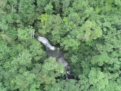 Santa Catarina voltou a ser destaque na redução do desmatamento em novo estudo nacional divulgado na última quinta-feira, 15. Conforme o Relatório Anual do Desmatamento no Brasil (RAD), elaborado pelo MapBiomas, em 2024 o estado apresentou uma queda de 39,9% na área desmatada, na comparação com o ano anterior. Com esse resultado, Santa Catarina alcançou 79% de redução no desmatamento nos últimos dois anos. Essa queda é ainda mais significativa quando se observa que o bioma Mata Atlântica, que abrange todo o território catarinense, foi o único dos biomas brasileiros onde não ocorreu queda geral na área desmatada. Os dados do RAD 2024 apontam que o desmatamento na Mata Atlântica, em 2024, manteve-se estável, após uma queda de 55% entre 2022 e 2023. Ou seja, SC tem apresentado resultados melhores do que os registrados para o bioma em sua totalidade. A queda no desmatamento em Santa Catarina também foi superior à registrada em âmbito nacional. No Brasil, que alcançou o segundo ano seguido de redução no desmatamento, a área total desmatada recuou 32,4% no ano passado, em relação a 2023. “Nossas políticas públicas têm sido eficazes e o trabalho realizado pelos órgãos ambientais do Estado está fazendo a diferença. Seguiremos firmes nesse compromisso, conciliando crescimento econômico com preservação ambiental”, comenta o governador Jorginho Mello. Para a presidente do IMA, Sheila Meirelles, esse resultado é fruto do trabalho sério e transparente que vem sendo desenvolvido pelo Instituto e pelos demais órgãos de fiscalização ambiental. “Temos buscado alternativas para o aperfeiçoamento constante de todas as atividades do órgão, deste aquelas relacionadas à educação ambiental até as atividades de fiscalização, sempre com o objetivo de prestar um serviço de excelência à população catarinense e cumprir as metas traçadas pelo Governo do Estado de Santa Catarina para a área ambiental”, disse. A presidente também destacou a importância do desenvolvimento de tecnologias inovadoras que apoiam as atividades técnicas. “Todas essas ações, em conjunto, têm demonstrado que é possível conciliar o avanço socioeconômico do estado e a preservação ambiental”, destaca Sheila. Diferentes estudos Nesta semana, também foi divulgado o Atlas dos Remanescentes Florestais da Mata Atlântica, levantamento coordenado pela Fundação SOS Mata Atlântica e pelo Instituto Nacional de Pesquisas Espaciais (INPE) e que também apontou queda no desmatamento em Santa Catarina. A diferença nas taxas de redução indicadas pelos dois estudos decorre de questões metodológicas e do recorte temporal. Enquanto o Atlas avalia dados do período entre julho de 2023 e junho de 2024, o RAD leva em consideração os 12 meses de 2024. O MapBiomas O MapBiomas é um projeto que envolve Organizações Não Governamentais (ONGs), universidades, laboratórios e startups de tecnologia que compila alertas de desmatamento emitidos por diferentes sistemas de detecção. Anualmente, como um dos seus resultados, é apresentado o Relatório Anual de Desmatamento. Esse documento consolida e analisa os alertas de desmatamento validados e refinados com imagens de alta resolução pelo MapBiomas Alerta.