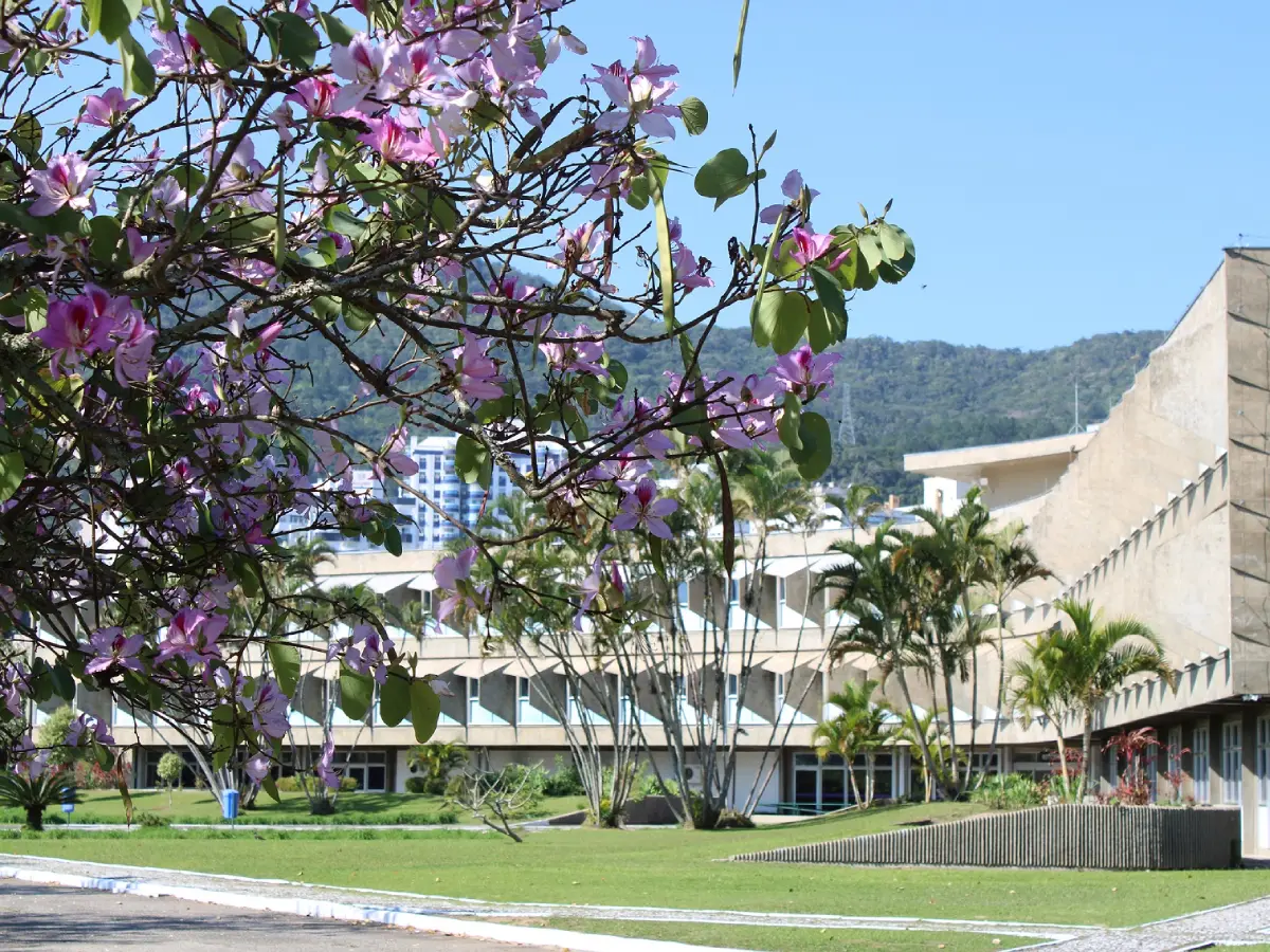 A Universidade do Estado de Santa Catarina (Udesc) completa nesta terça-feira, 20 de maio, 60 anos de trajetória dedicada ao ensino superior. Com uma estrutura multicampi, a instituição pública oferta hoje ensino presencial em 13 centros de ensino e está presente com o ensino a distância em 26 polos de apoio presencial ao EAD, em diferentes regiões do estado, para onde leva ensino superior gratuito e de qualidade. São 60 cursos de graduação, 67 de pós-graduação e mais de 70 mil pessoas formadas na graduação ao longo deste período. “É com muito orgulho que celebramos os 60 anos da Udesc”, afirma o reitor da Udesc, José Fernando Fragalli. “Ao longo dessas seis décadas, construímos uma história de compromisso com o ensino superior público, gratuito e de qualidade. Este marco é uma oportunidade para refletirmos sobre nossas conquistas e reafirmarmos nosso compromisso com a excelência acadêmica, a pesquisa e a extensão”, complementa. Estas seis décadas se completam com um reconhecimento importante: recentemente a universidade obteve a nota máxima no Índice Geral de Cursos (IGC), o principal indicador de qualidade da educação superior no país, e conquistou a 4ª posição entre as 38 universidades estaduais brasileiras avaliadas pelo Instituto Nacional de Estudos e Pesquisas Educacionais Anísio Teixeira (Inep), do Ministério da Educação (MEC). No cenário nacional, a Udesc também se desta, ocupando a 21ª colocação geral entre as 240 universidades e institutos federais avaliados pelo MEC. “Agradecemos a todos que fizeram e fazem parte dessa trajetória — estudantes, docentes, técnicos e toda a comunidade. Juntos, seguiremos avançando, fortalecendo nossa missão de contribuir na formação de cidadãos comprometidos com a ética e com a qualidade de vida para o desenvolvimento das organizações e da sociedade”, afirma o reitor da Udesc. Solenidade marca início das comemorações Para marcar o início das comemorações, uma solenidade ocorre nesta terça-feira, às 19h, no Teatro Ademir Rosa do Centro Integrado de Cultura (CIC), em Florianópolis. O evento é gratuito, aberto tanto à comunidade acadêmica quanto ao público em geral, e será transmitido pelo canal da Udesc no Youtube. A programação terá apresentação do Madrigal Udesc (grupo vocal de câmara) e da Big Band Udesc (conjunto de sopros) – ambos vinculados ao Departamento de Música do Centro de Artes, Design e Moda (Ceart) da universidade. Haverá ainda homenagens a instituições parceiras que contribuíram com a Udesc ao longo de suas seis décadas de história, com entrega da Medalha de Honra ao Mérito Institucional. Uma programação diversificada será realizada até dezembro de 2025, marcando os 60 anos da instituição. Os eventos estão previstos tanto para Florianópolis, como para cada uma das unidades localizadas nas demais regiões. Atualmente, a Udesc está presente com centros de ensino presencial em 10 municípios catarinenses. “Procuramos construir uma programação abrangente e diversa, valorizando a cultura e celebrando esta data em todos os centros de ensino da Udesc. Queremos que todos se sintam integrados, celebrando em conjunto nossos 60 anos”, afirma a vice-reitora Clerilei Bier, presidente da Comissão dos 60 Anos da Udesc. Confira a programação completa em udesc.br