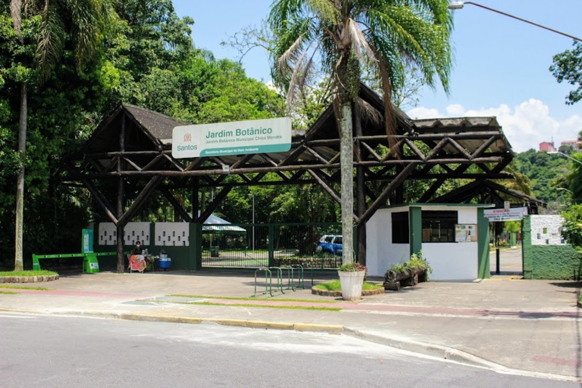 Forest Run leva corrida ao ar livre para o Jardim Botânico de Santos