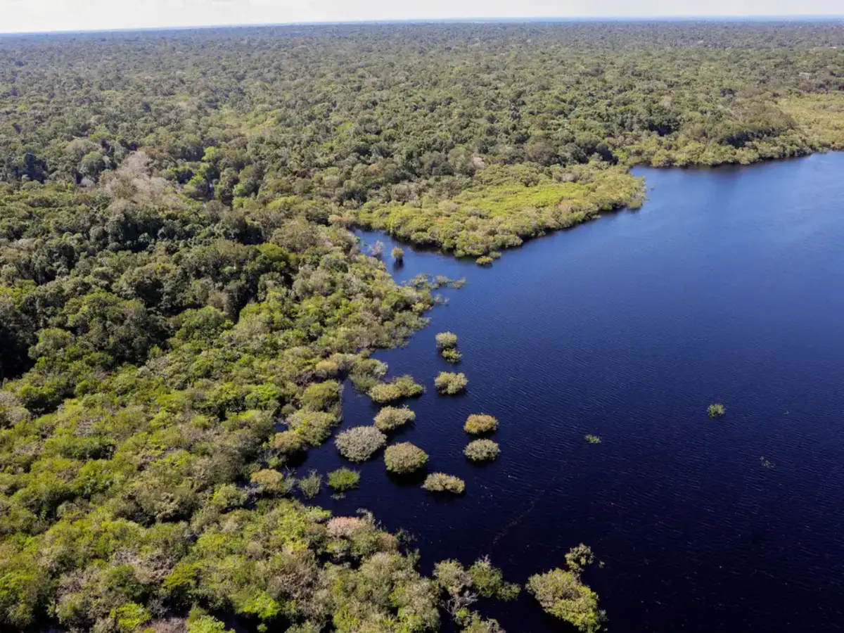 Fundo Amazônia bate recorde ao destinar mais de R$ 1 bilhão em 2025