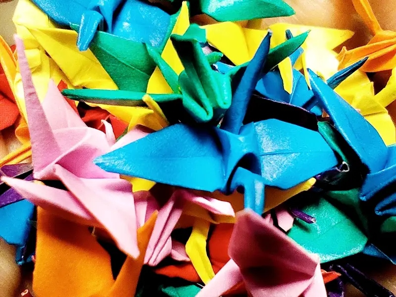 Encontro gratuito celebra o origami e o Haikai na Biblioteca de SC