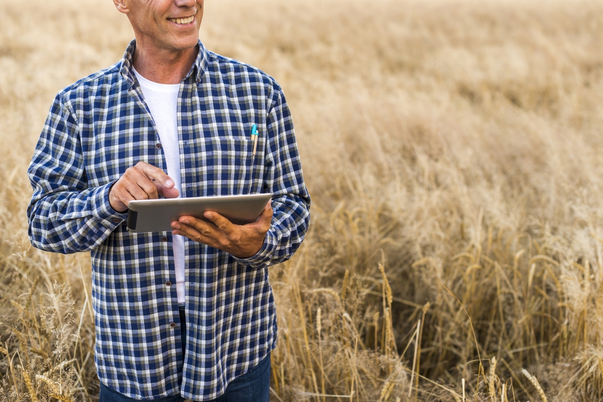 Pagamento rural exige atenção à segurança jurídica