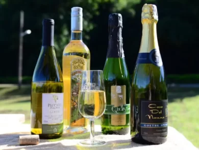 A uva Goethe ganha reconhecimento nacional e fortalece a identidade dos vinhos de Santa Catarina