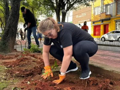 Ação voluntária planta mais de 450 mudas de flores na Av. Hercílio Luz e mobiliza comunidade em Florianópolis