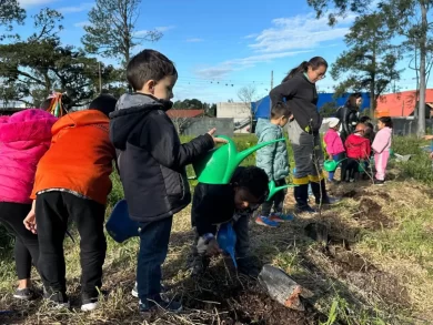O projeto de agroecologia para crianças e adolescentes Pés no Chão e Mãos na Terra, que recebeu recursos do Fundo da Infância e Adolescência de Santa Catarina, está beneficiando 350 crianças e adolescentes do Educandário Santa Catarina, em São José e despertando a conscientização ambiental. Na escola as atividades vão desde o plantio até a colheita de hortaliças, verduras, legumes, além do cultivo de árvores. Graças ao FIA a instituição recebeu quase R$ 240 mil, um valor que foi fundamental para a execução do projeto. “Os recursos do FIA/SC foram fundamentais para fortalecer o projeto e viabilizar tudo que estamos fazendo aqui. Percebemos, diariamente, nas oficinas o impacto positivo nas crianças e adolescentes que participam do projeto. Aqui elas podem plantar e consumir um alimento de qualidade”, explica Luan Morgan, engenheiro agrônomo e responsável pelas oficinas do projeto. Ele lembra ainda que cada turma, com crianças de 4 a 5 anos de idade e também de 6 a 14 anos, participa por uma hora e 20 minutos, uma vez por semana. “Para muitos é novidade porque a maioria das crianças são urbanas e agora começaram a entender melhor de onde vem a comida. Ao longo da oficina vamos respondendo sobre as curiosidades que as crianças têm sobre o assunto e aprendendo as crianças também ajudam a conservar o meio ambiente”, completa Luan. Para as amigas Tamile Rosa de Oliveira e Isadora Fernandes de Souza, de 13 anos, o projeto fez toda a diferença. “O que eu mais gosto é plantar as hortaliças, verduras e legumes. Antes eu tinha uma percepção diferente e agora eu sei, por exemplo, que em uma semana a alface já está grande e pronto para colher”, disse Isadora de Souza. Já Tamile de Oliveira conta que ensinou o que aprendeu nas oficinas de agroecologia para a mãe. O projeto Pés no Chão e Mãos na Terra, que foi um dos muitos beneficiados pelo FIA/SC, também tem três encontros junto com as famílias. A chamada “vivência na natureza” inclui visitas na horta e contação de histórias num momento de integração com os pais e as crianças aos sábados. Novos editais De acordo com a secretária de Estado da Assistência Social, Mulher e Família, Adeliana Dal Pont, o FIA financia projetos inovadores de todas as áreas. “Desde esporte até cultura, para crianças que estejam em situação de vulnerabilidade ou não e neste momento estamos com editais abertos para a inscrição de propostas”, disse. As entidades da sociedade civil e os órgãos governamentais que quiserem podem inscrever projetos para o edital de 2025 do Fundo da Infância e Adolescência (FIA) até o dia 31 de julho. No total serão R$ 55 milhões em investimentos para financiar projetos voltados à promoção, proteção e garantia de direitos de crianças e adolescentes. São R$ 35 milhões para organizações da sociedade civil e R$ 20 milhões a órgãos governamentais. Uma das novidades deste ciclo de editais é a inclusão de um eixo voltado à inovação social e sustentabilidade, o que demonstra a evolução nas prioridades e estratégias no atendimento a criança e adolescente em Santa Catarina. Outra mudança importante é que cada entidade da sociedade civil e cada órgão governamental poderá inscrever apenas um projeto, mas com valores máximos ampliados em relação aos editais anteriores.
