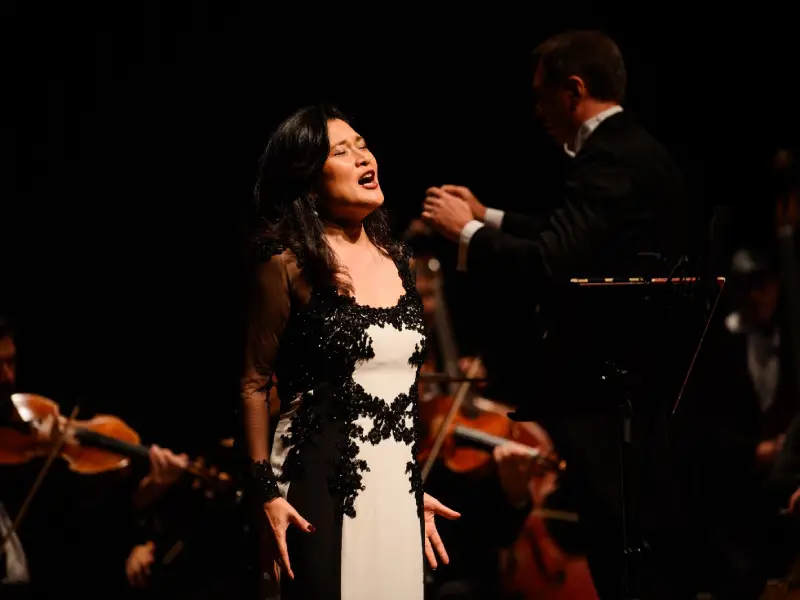 “Concerto Japão”: Camerata Florianópolis lança espetáculo inédito para comemorar os 130 anos de amizade entre os países