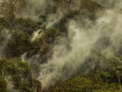 A Corte Internacional de Justiça afirma que estados podem ser responsabilizados pelo aquecimento global