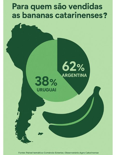 Infografico banana