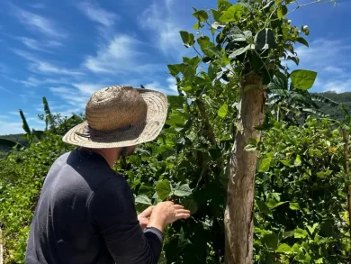 Programa fortalece comunidades indígenas e agricultores familiares em Santa Catarina