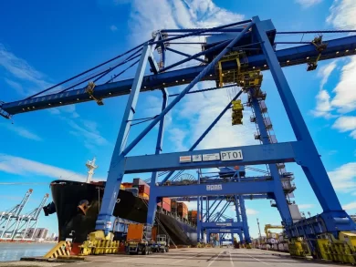 Santa Catarina é líder nacional em exportação de madeira e móveis