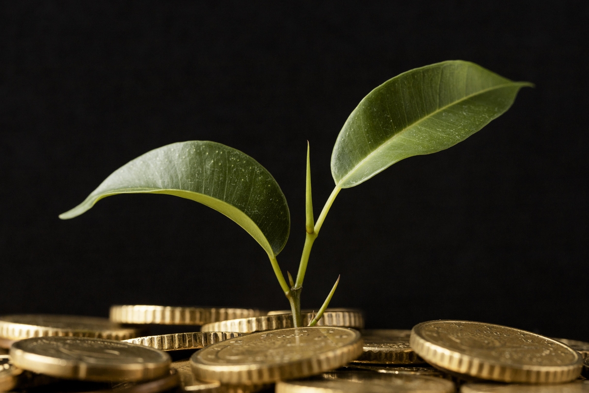 Créditos de carbono poderão quitar impostos no agronegócio