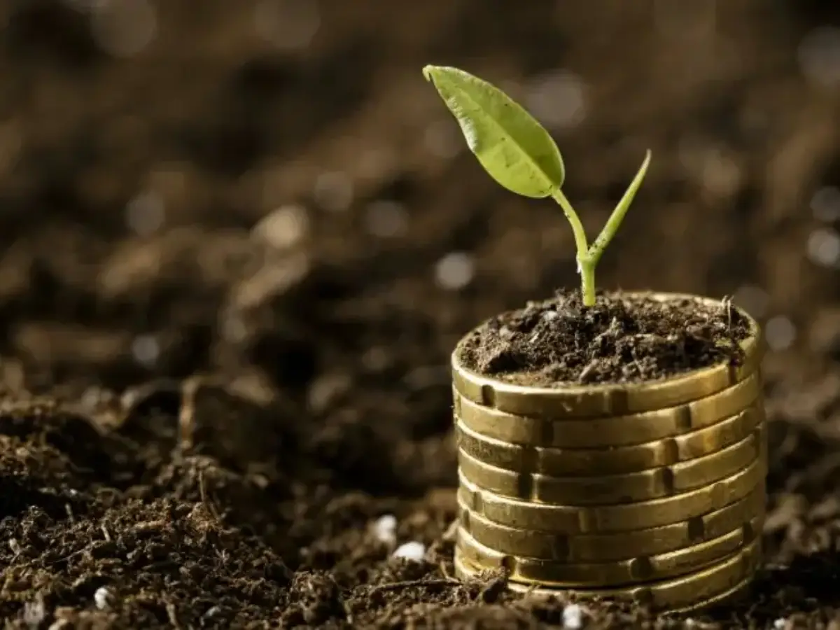 Sebrae disponibiliza e-book gratuito com soluções de crédito sustentável para pequenos negócios