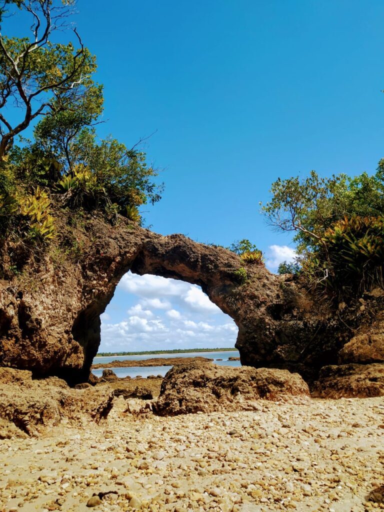 Ilhéus reúne experiências que mostram o sul da Bahia em movimento