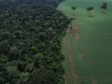 A declaração de líderes do Brics, divulgada na tarde deste domingo (6), traz 21 tópicos relacionados às mudanças climáticas. Entre os pontos defendidos pelos 11 países, está a visão de que o financiamento climático é responsabilidade das nações mais desenvolvidas do planeta. "Enfatizamos que garantir a países em desenvolvimento financiamento climático acessível com a urgência adequada e sob custos viáveis é essencial para facilitar trajetórias de transições justas que combinam ação climática com desenvolvimento sustentável", informa o documento. Segundo a mensagem dos líderes do grupo, chamada de Declaração do Rio, a provisão e mobilização de recursos sob a Convenção Quadro das Nações Unidas sobre Mudanças Climáticas (UNFCCC) e o Acordo de Paris "é uma responsabilidade dos países desenvolvidos para com os países em desenvolvimento". O texto também convoca todos os países a honrarem seus compromissos com o Acordo de Paris e ampliarem seus esforços para combater as mudanças climáticas. A declaração destaca que o grupo está determinado a liderar uma mobilização global por um sistema financeiro internacional mais justo e sustentável.  Um dos pontos destacados é a necessidade urgente de reformar a governança do Fundo Mundial para o Meio Ambiente (GEF), com representação mais equilibrada e equitativa dos países em desenvolvimento. Em relação à defesa das florestas, o Brics encoraja países doadores a anunciarem contribuições ambiciosas para o Fundo Florestas Tropicais para Sempre (TFFF), que será lançado na COP30.  Transição energética justa Integrado por alguns dos principais produtores de petróleo do mundo, como Brasil, Rússia, China, Arábia Saudita, Irã e Emirados Árabes, o Brics destaca que os combustíveis fósseis ainda têm papel importante na matriz energética mundial.  No entanto, eles reafirmam seu compromisso de garantir transições energéticas justas e inclusivas, de acordo com as circunstâncias nacionais, além de acesso universal a energia confiável, sustentável e a preço acessível. Os combustíveis de aviação sustentáveis (SAF) e com baixo carbono (LCAF) aparecem em destaque no texto.  Pontos de preocupação especial mencionados pelo Brics são a desertificação, degradação do solo, seca e poluição plástica. O documento também destaca algumas ações do grupo, com os Princípios do Brics para Contabilidade de Carbono Justa, Inclusiva e Transparente; o Laboratório do Brics sobre Comércio, Mudança do Clima e Desenvolvimento Sustentável; e os Termos de Referência da Plataforma do Brics de Pesquisa Climática. Há também a rejeição a medidas protecionistas unilaterais, punitivas e discriminatórias sob pretexto de preocupações ambientais. O fortalecimento da cooperação na área de exploração espacial para fins pacíficos e aproveitamento das agências espaciais para realizar exercício conjunto para apoiar a COP30 na UNFCCC. Em documento com os destaques da da declaração dos líderes, a organização da cúpula do Brics no Rio de Janeiro destacou que "nossa Declaração-Marco na área de clima lança um mapa do caminho para, nos próximos cinco anos, transformar nossa capacidade de levantar recursos contra a mudança do clima. Com a escala coletiva do Brics, lutaremos contra a crise climática deixando nossas economias mais fortes e mais justas"