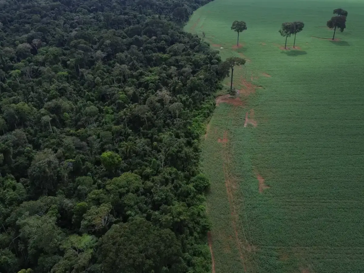 A declaração de líderes do Brics, divulgada na tarde deste domingo (6), traz 21 tópicos relacionados às mudanças climáticas. Entre os pontos defendidos pelos 11 países, está a visão de que o financiamento climático é responsabilidade das nações mais desenvolvidas do planeta. "Enfatizamos que garantir a países em desenvolvimento financiamento climático acessível com a urgência adequada e sob custos viáveis é essencial para facilitar trajetórias de transições justas que combinam ação climática com desenvolvimento sustentável", informa o documento. Segundo a mensagem dos líderes do grupo, chamada de Declaração do Rio, a provisão e mobilização de recursos sob a Convenção Quadro das Nações Unidas sobre Mudanças Climáticas (UNFCCC) e o Acordo de Paris "é uma responsabilidade dos países desenvolvidos para com os países em desenvolvimento". O texto também convoca todos os países a honrarem seus compromissos com o Acordo de Paris e ampliarem seus esforços para combater as mudanças climáticas. A declaração destaca que o grupo está determinado a liderar uma mobilização global por um sistema financeiro internacional mais justo e sustentável.  Um dos pontos destacados é a necessidade urgente de reformar a governança do Fundo Mundial para o Meio Ambiente (GEF), com representação mais equilibrada e equitativa dos países em desenvolvimento. Em relação à defesa das florestas, o Brics encoraja países doadores a anunciarem contribuições ambiciosas para o Fundo Florestas Tropicais para Sempre (TFFF), que será lançado na COP30.  Transição energética justa Integrado por alguns dos principais produtores de petróleo do mundo, como Brasil, Rússia, China, Arábia Saudita, Irã e Emirados Árabes, o Brics destaca que os combustíveis fósseis ainda têm papel importante na matriz energética mundial.  No entanto, eles reafirmam seu compromisso de garantir transições energéticas justas e inclusivas, de acordo com as circunstâncias nacionais, além de acesso universal a energia confiável, sustentável e a preço acessível. Os combustíveis de aviação sustentáveis (SAF) e com baixo carbono (LCAF) aparecem em destaque no texto.  Pontos de preocupação especial mencionados pelo Brics são a desertificação, degradação do solo, seca e poluição plástica. O documento também destaca algumas ações do grupo, com os Princípios do Brics para Contabilidade de Carbono Justa, Inclusiva e Transparente; o Laboratório do Brics sobre Comércio, Mudança do Clima e Desenvolvimento Sustentável; e os Termos de Referência da Plataforma do Brics de Pesquisa Climática. Há também a rejeição a medidas protecionistas unilaterais, punitivas e discriminatórias sob pretexto de preocupações ambientais. O fortalecimento da cooperação na área de exploração espacial para fins pacíficos e aproveitamento das agências espaciais para realizar exercício conjunto para apoiar a COP30 na UNFCCC. Em documento com os destaques da da declaração dos líderes, a organização da cúpula do Brics no Rio de Janeiro destacou que "nossa Declaração-Marco na área de clima lança um mapa do caminho para, nos próximos cinco anos, transformar nossa capacidade de levantar recursos contra a mudança do clima. Com a escala coletiva do Brics, lutaremos contra a crise climática deixando nossas economias mais fortes e mais justas"
