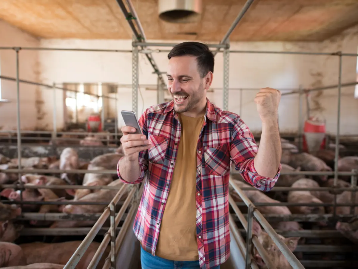 SC bate recorde histórico nas exportações de carne suína e impulsiona desempenho do agronegócio no primeiro semestre