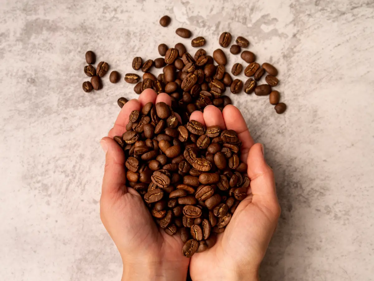 Estados Unidos consideram liberar importação de café e frutas tropicais sem tarifa