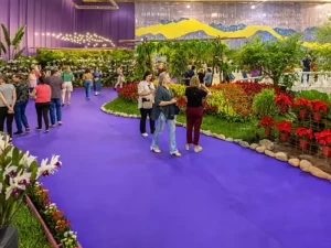 85a Festa das Flores de Joinville