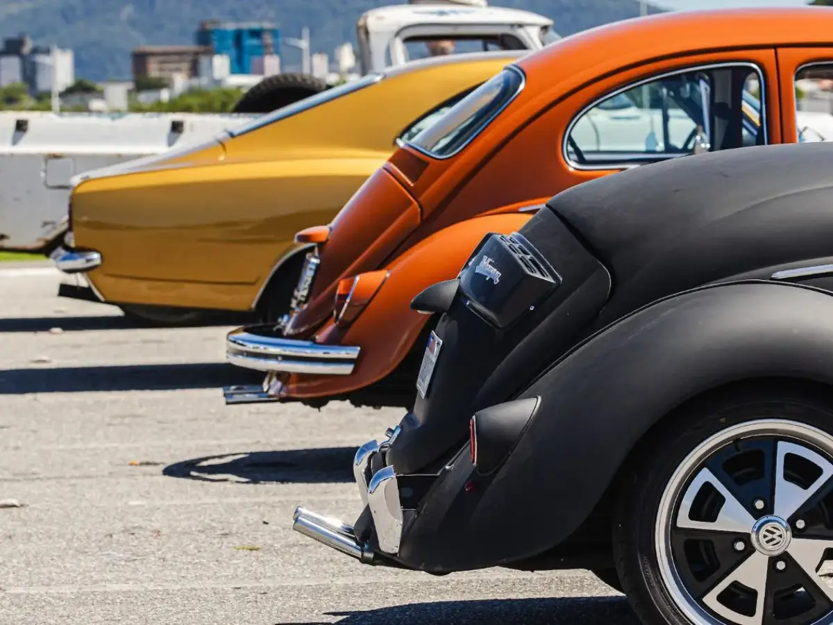 Exposição de carros antigos celebra 10 anos do Jardim Botânico de São José