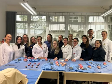 Enfermeiras de Santa Catarina recebem treinamento para inserção e manejo de DIU em municípios do estado