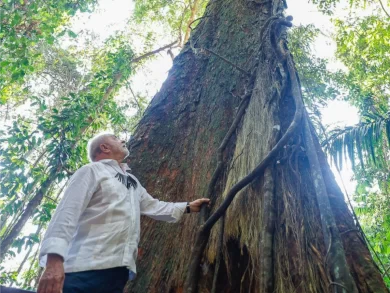 Lula veta 63 artigos do PL do Licenciamento Ambiental, apelidado de “PL da Devastação”