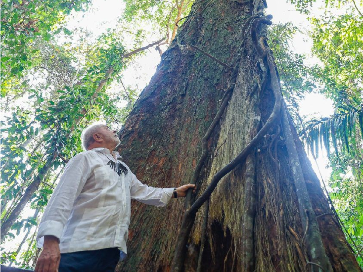 Lula veta 63 artigos do PL do Licenciamento Ambiental, apelidado de “PL da Devastação”